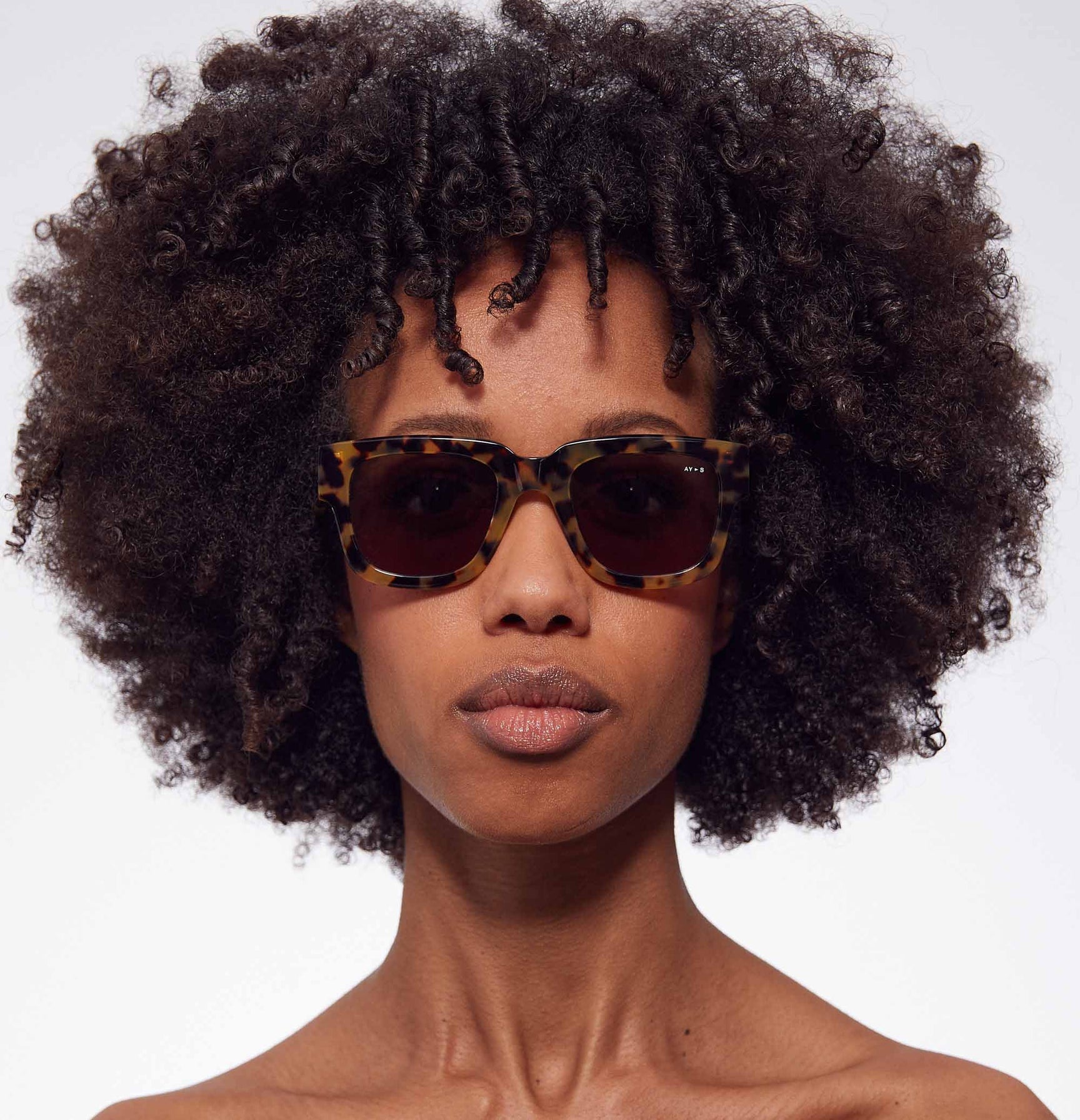 James Ay - Dandy Sunglasses - Tokyo Havana