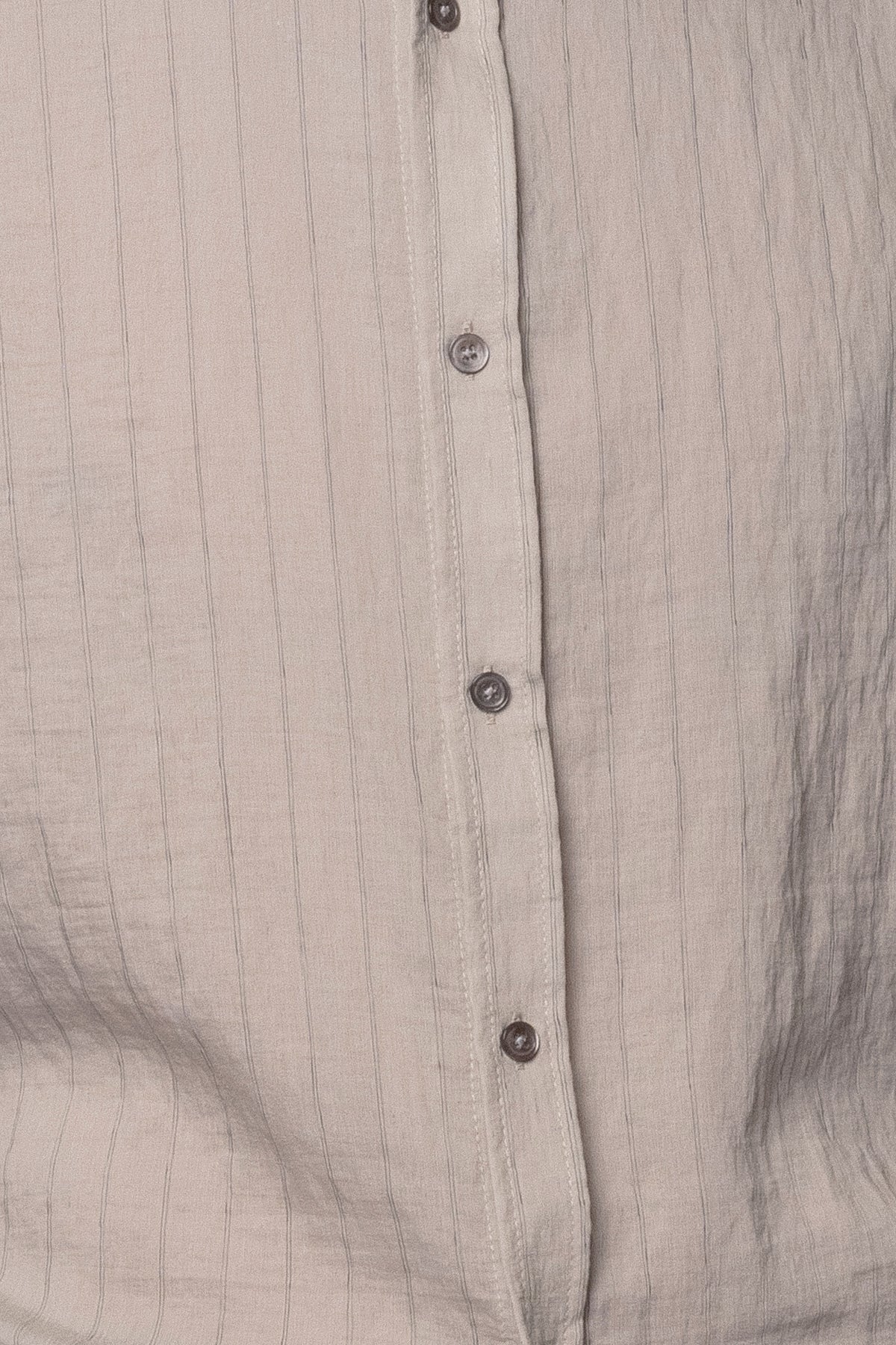 Beach Brains - Hold SS Shirt - Greige Stripe